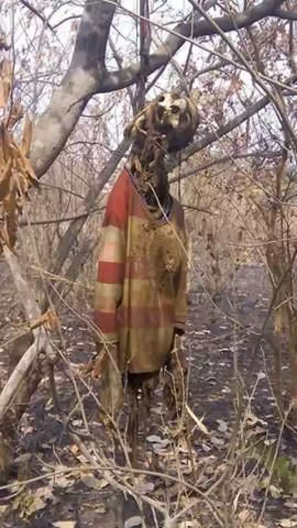 Woman Missing For Months Found Dead With Corpse Hanging On A Tree. Graphic Pics